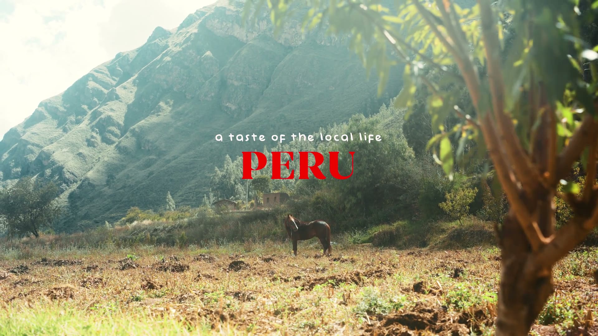 Peru cover film