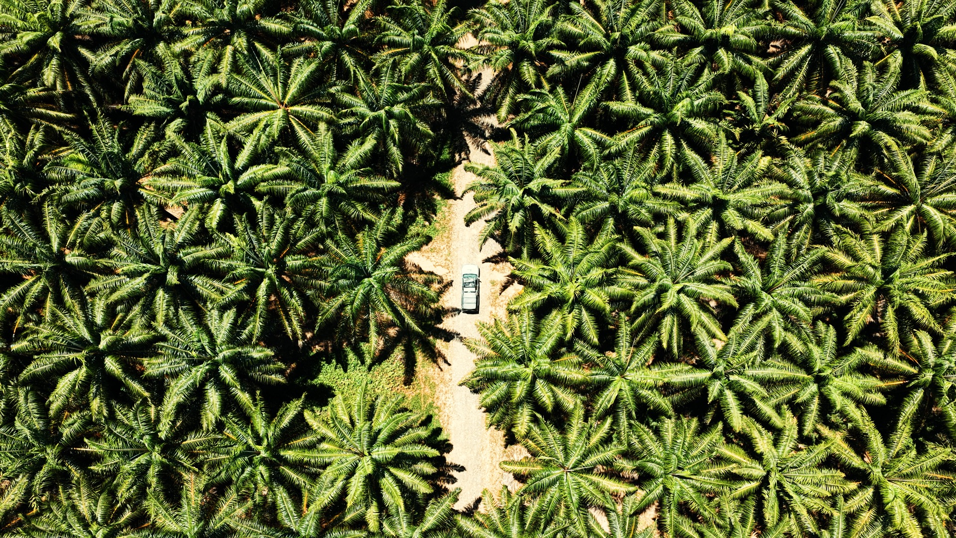 Pura Van Costa Rica commercial