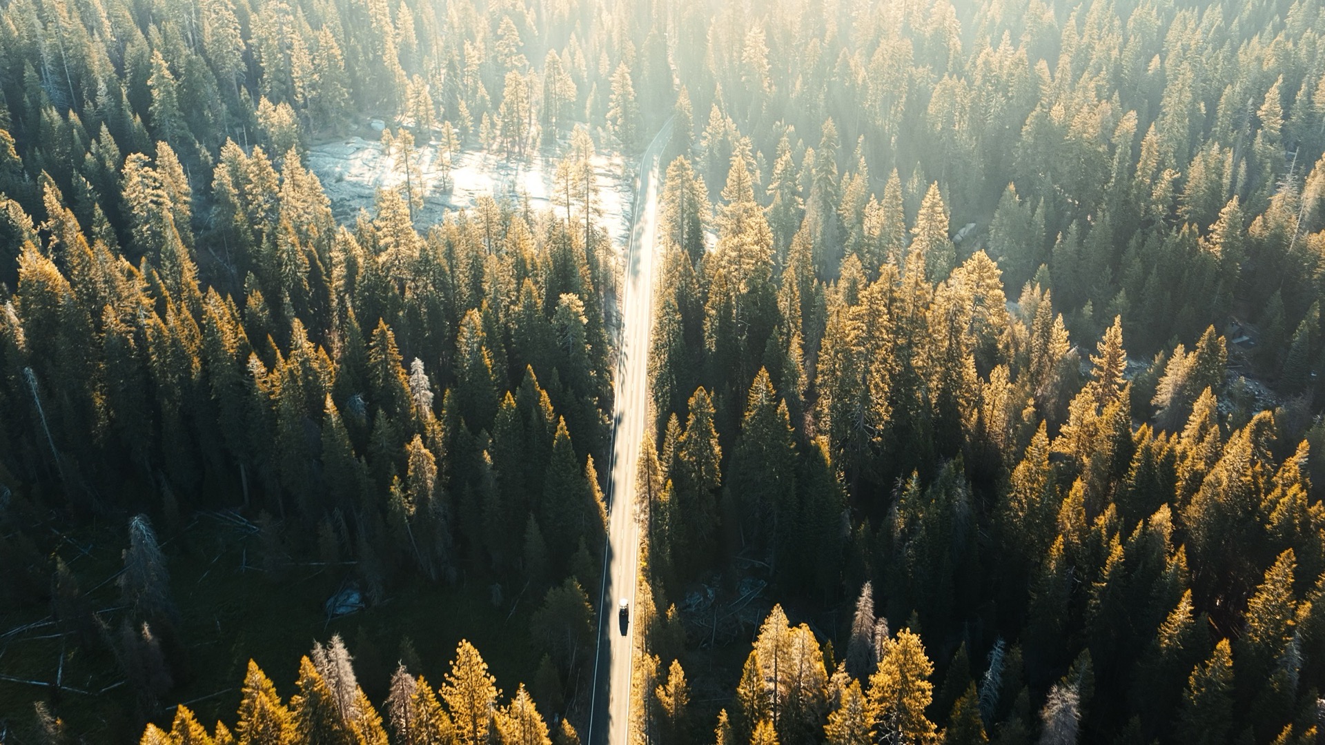 California travel campaigns